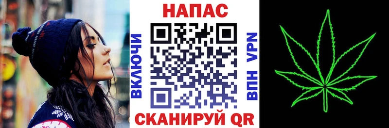 Конопля Bruce Banner  Долгопрудный 